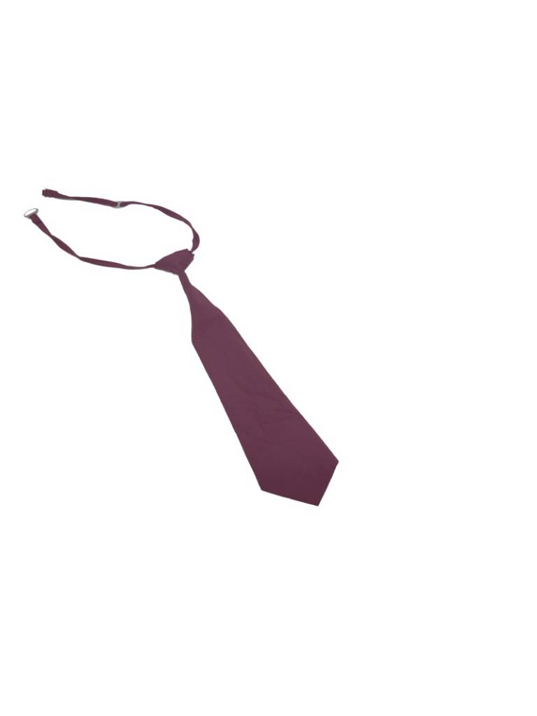 Maroon Pre-Tied Necktie