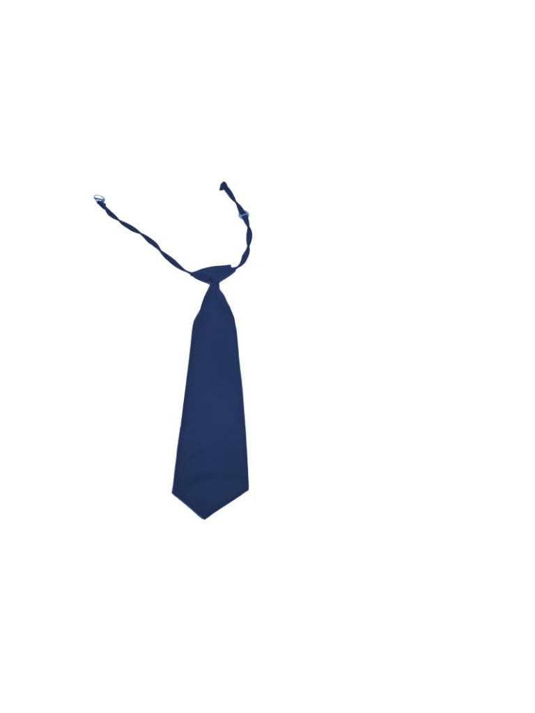 Navy Blue Pre-Tied Necktie