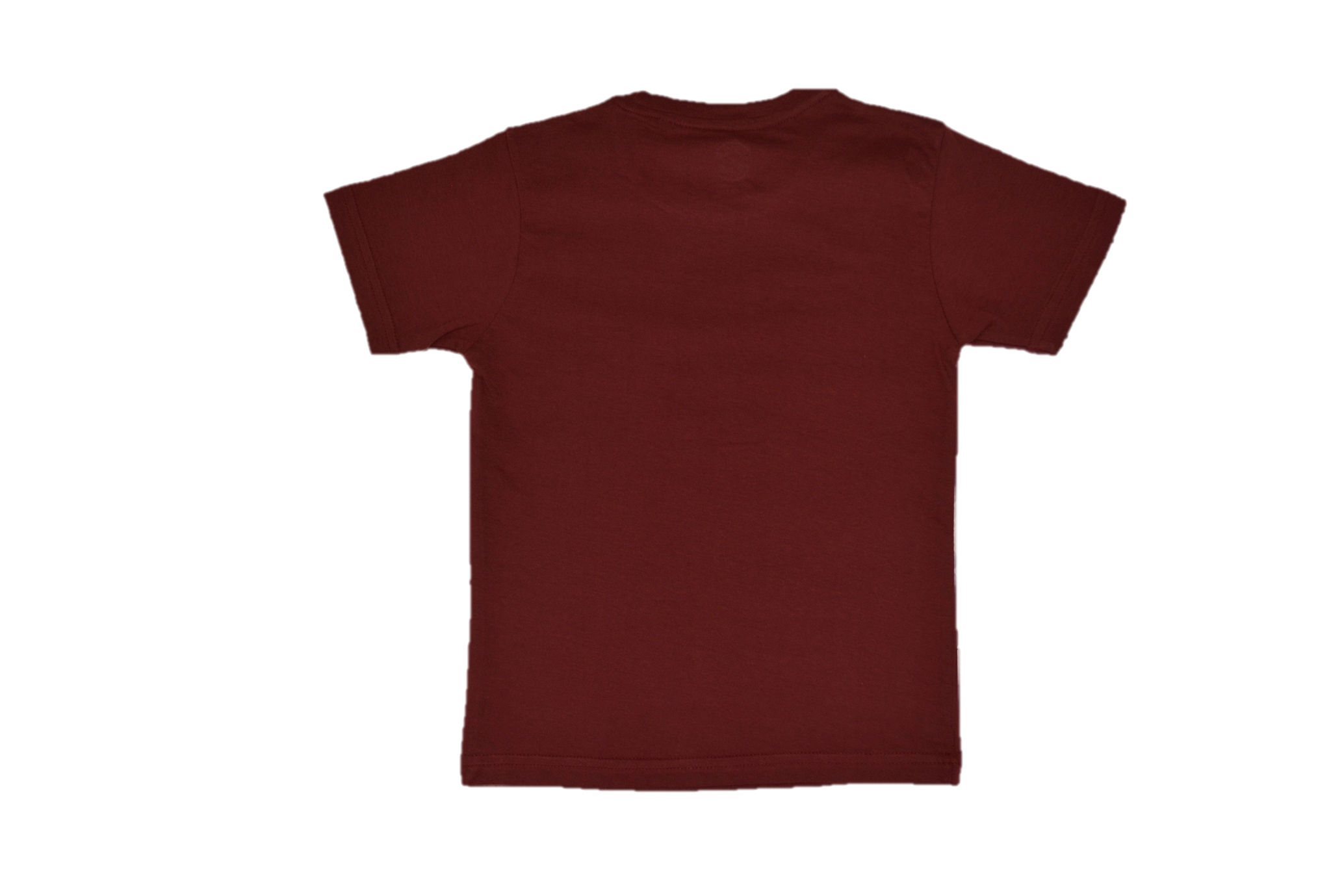 Boy's Regular Fit T-Shirt