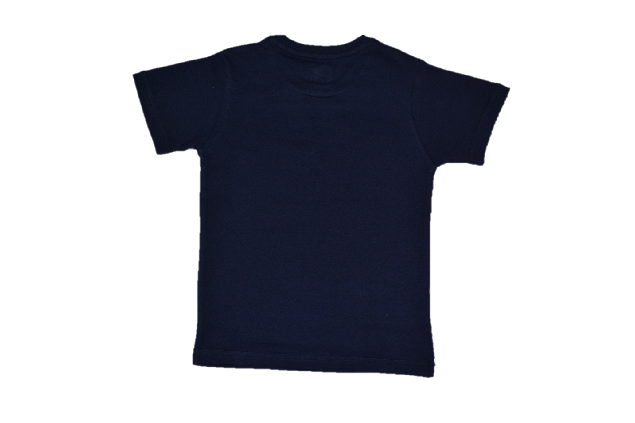 Boy's Regular Fit T-Shirt