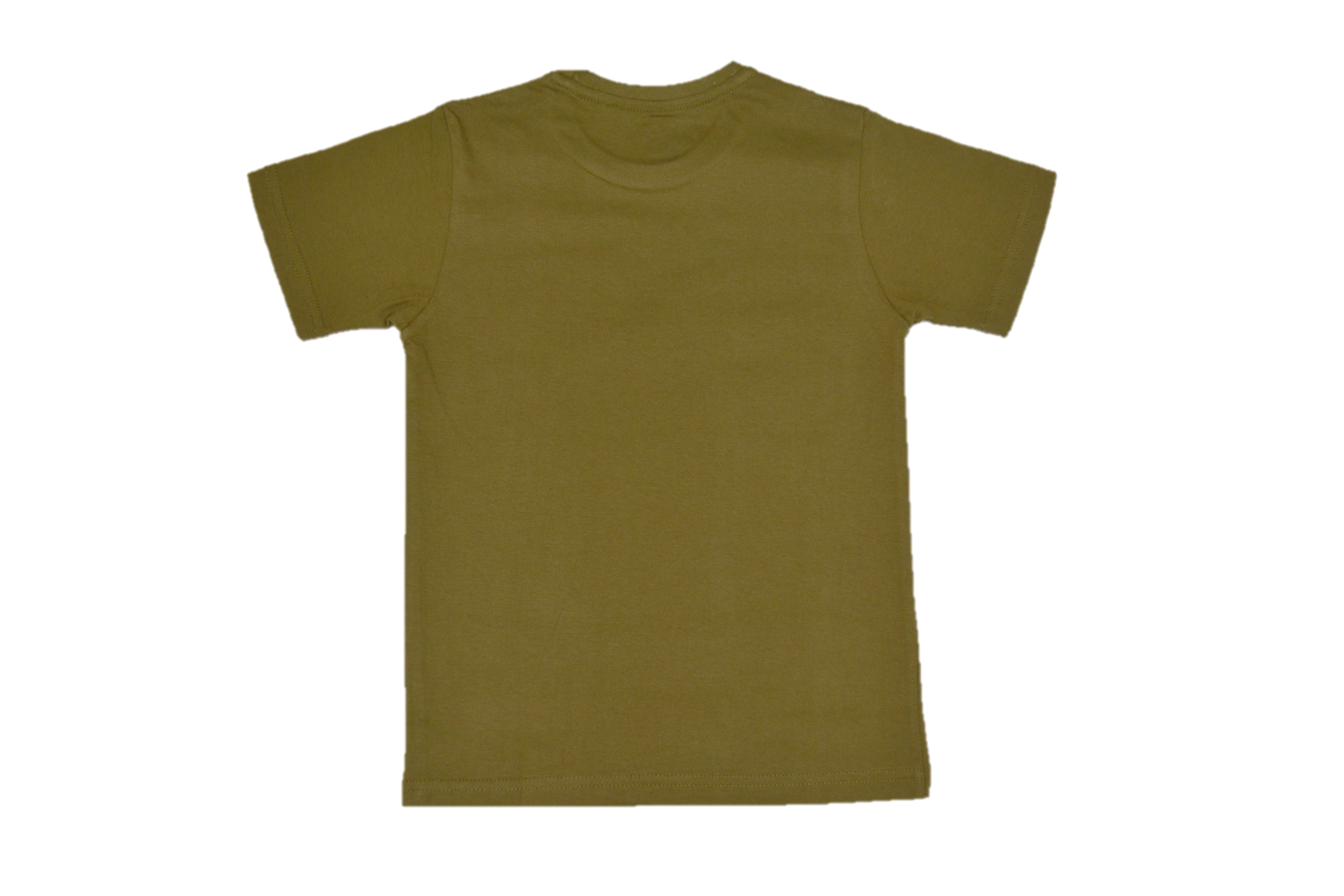 Boy's Regular Fit T-Shirt
