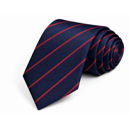 Navy Blue School Tie with Red Stripes
