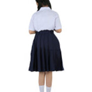 Navy Skirt