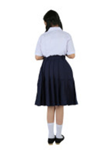 Navy Skirt