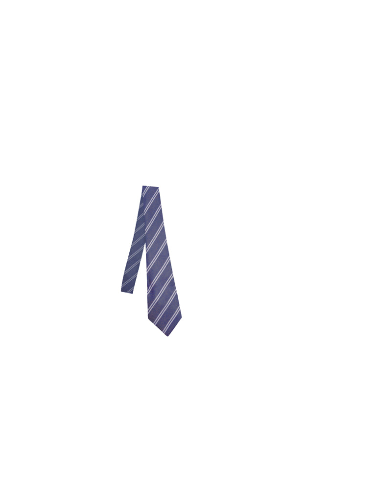 Blue Strip Regular Tie