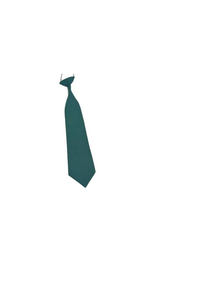 Green Pre-Tied Necktie