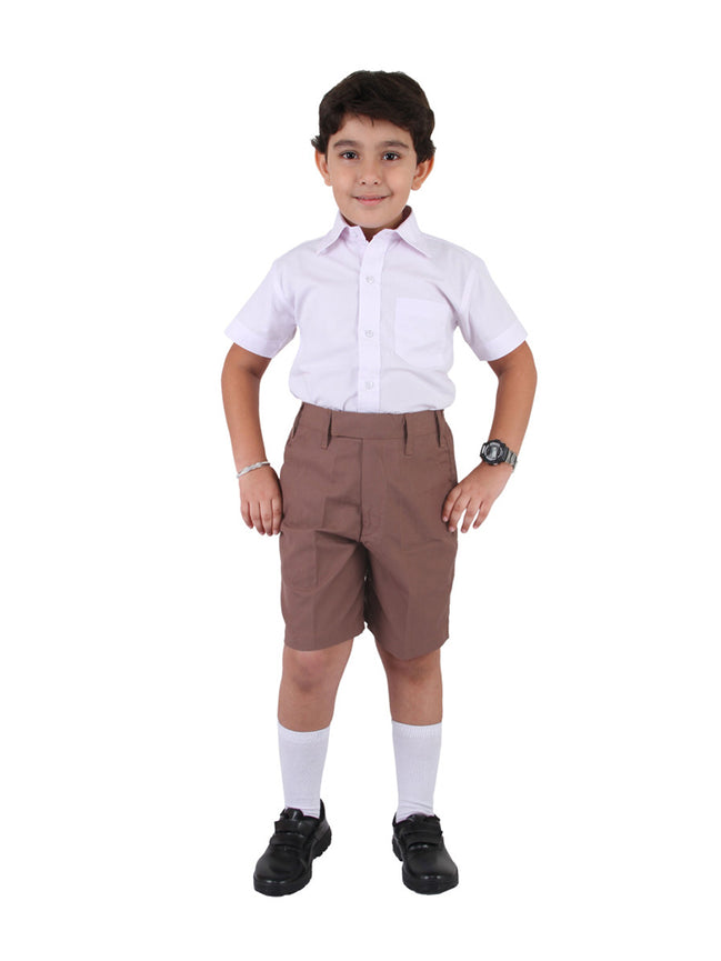 Comfortable Chocolate Brown Shorts with Elastic Waist and Pockets