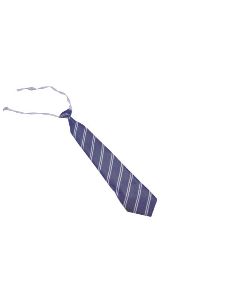 Blue Strip Pre-Tied Necktie