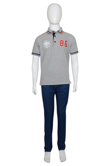 TSH – 02 Grey