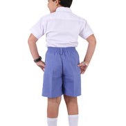 French Blue Shorts