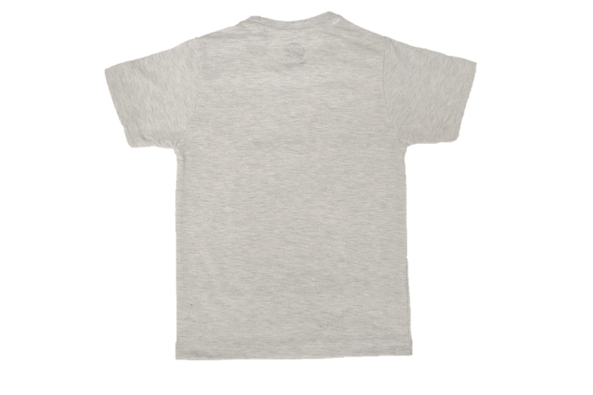 Boy's Regular Fit T-Shirt