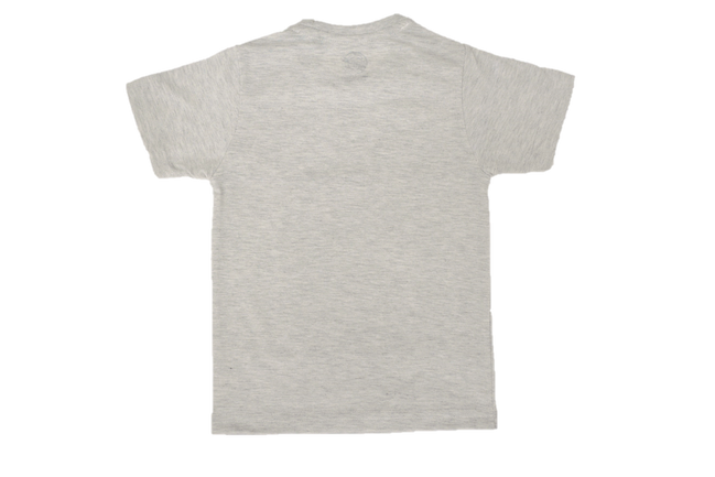 Boy's Regular Fit T-Shirt