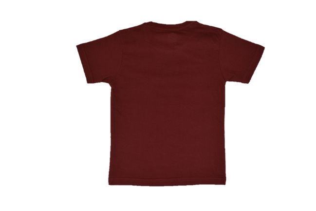 Boy's Regular Fit T-Shirt
